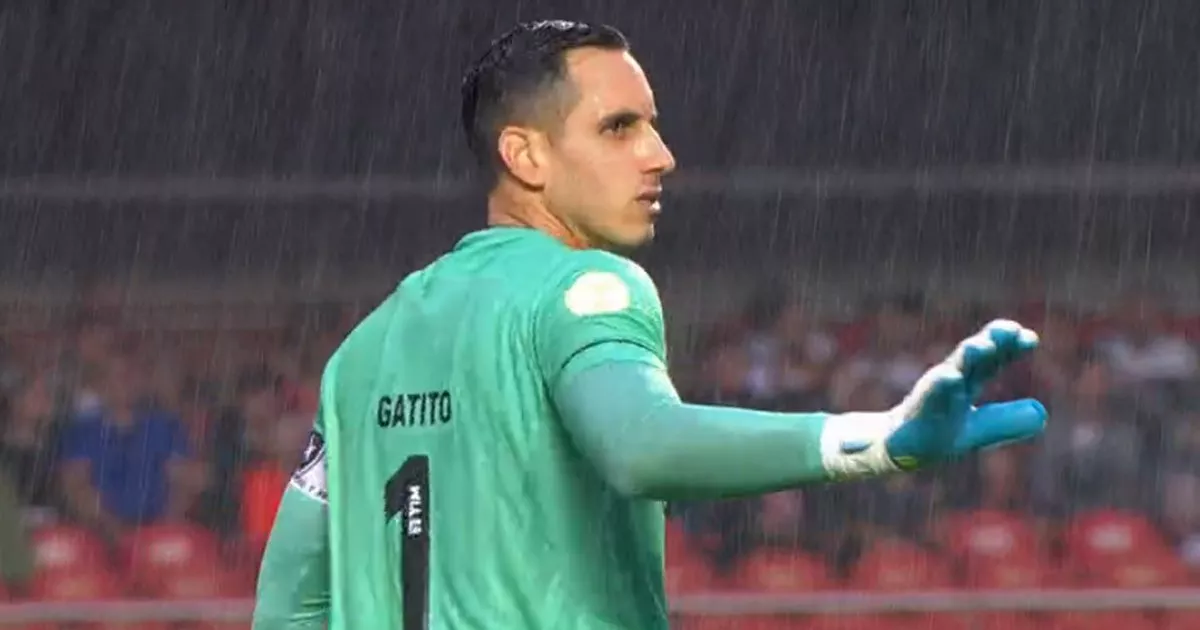 Gatito no Palmeiras? Abel Ferreira afirma que é mentira