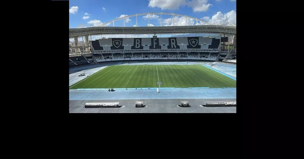 Veja foto do Estádio Nilton Santos com gramado completo