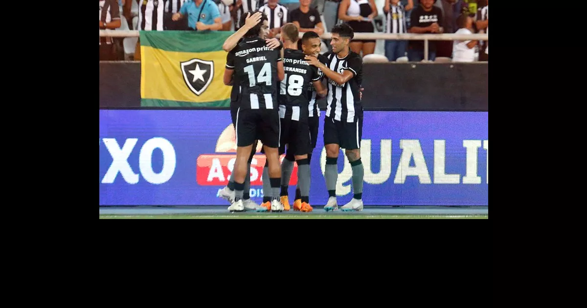 Qual foi o público de Botafogo x Atlético-MG pelo Brasileirão?