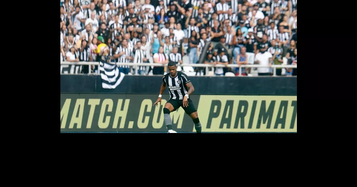 Botafogo confirma pré-contrato com Brax para comercialização de placas no estádio