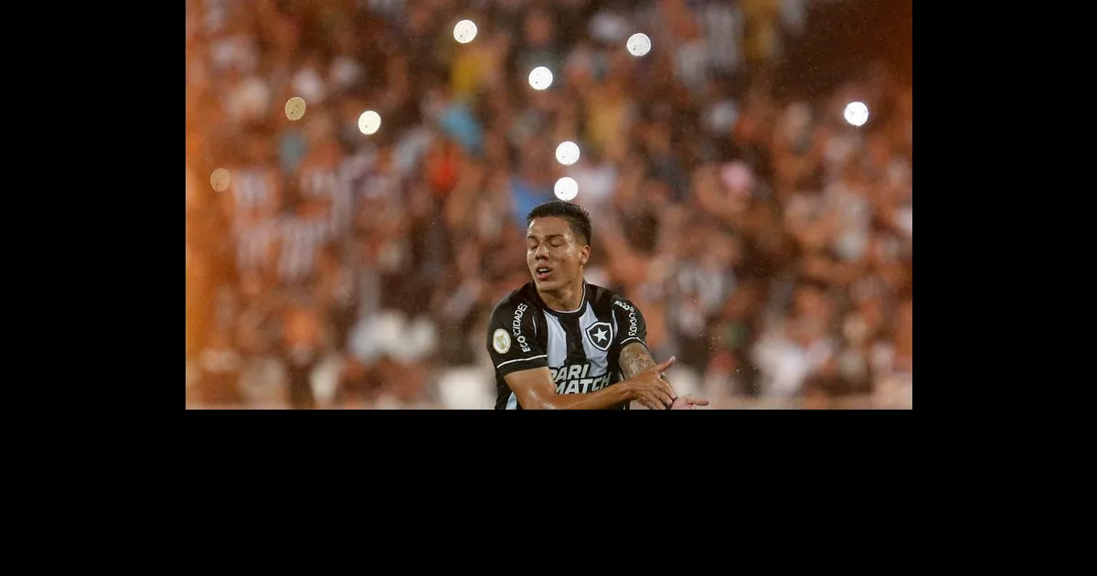 Jogadores do Botafogo falam sobre momento vivido pelo clube