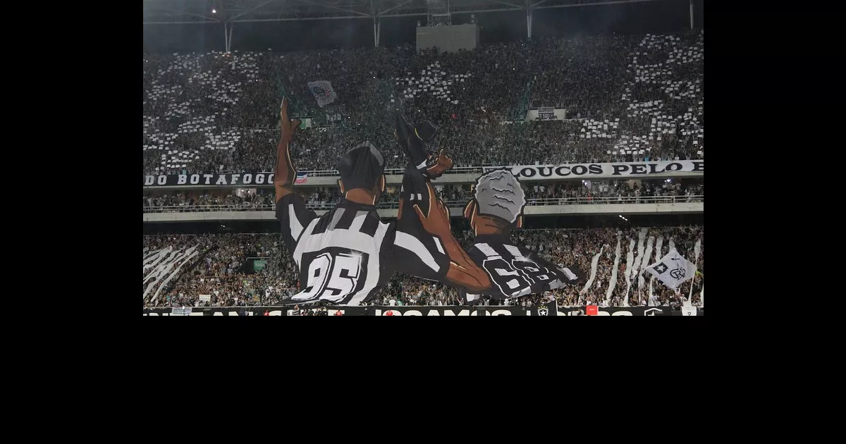 Qual foi o público de Botafogo x Internacional pelo Campeonato Brasileiro 2023?