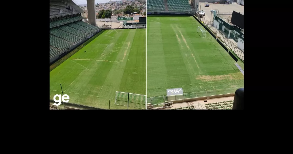 Confira informações sobre América-MG x Botafogo, jogo da 27ª rodada do Campeonato Brasileiro