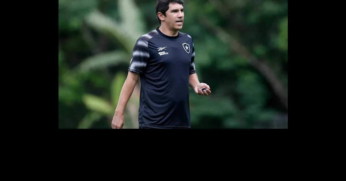 Lucio Flavio Recebe Apoio de Ex-Companheiros e Técnicos na Sua Jornada Como Treinador do Botafogo