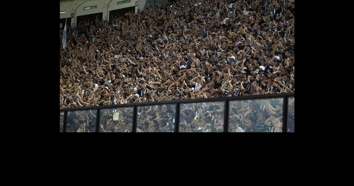 Do Épico ao Desastre: A Ascensão e Queda do Botafogo no Campeonato Brasileiro-2023