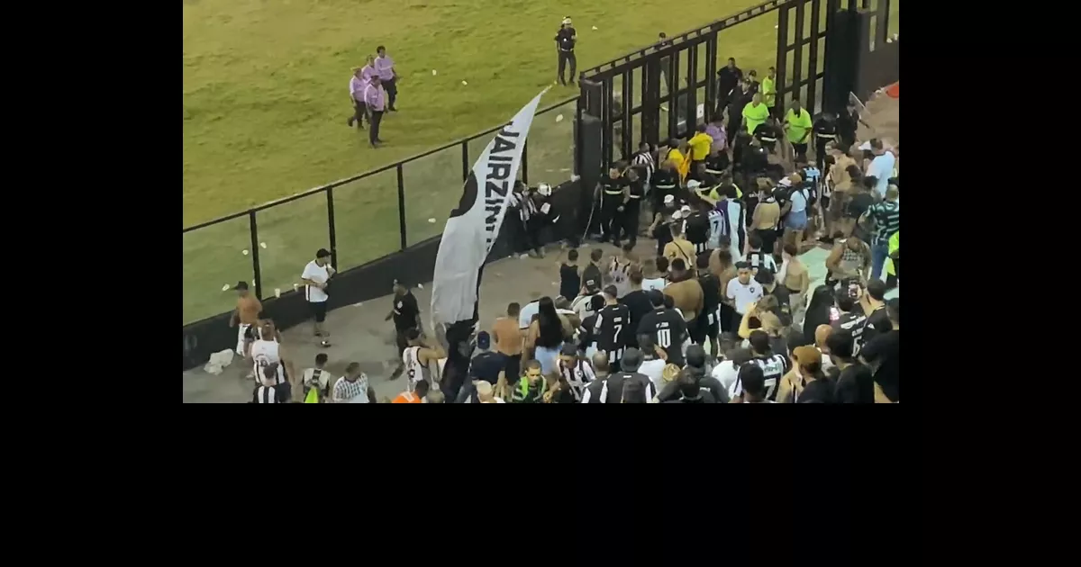 Botafogo Pode Encarar Novo Julgamento no STJD Após Incidentes em Partida Contra o Grêmio