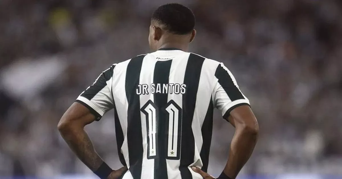 Júnior Santos: O Artilheiro Decisivo que Eleva o Botafogo na Temporada 2024