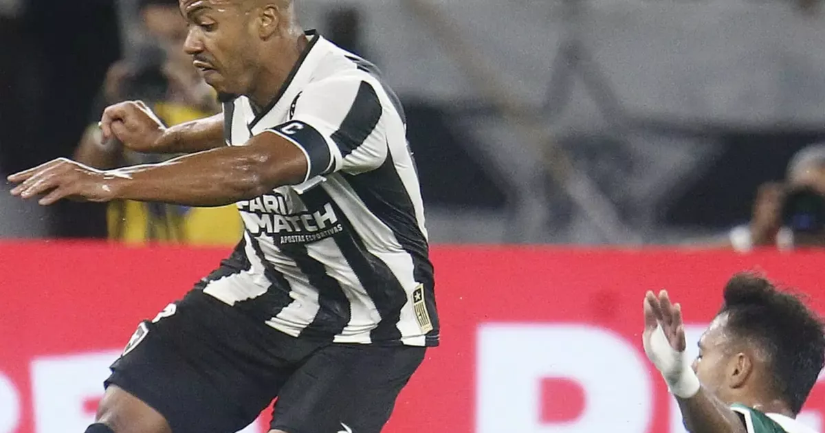 Botafogo vs. Palmeiras: A Batalha pelo Topo do Brasileirão Esquenta os Debates