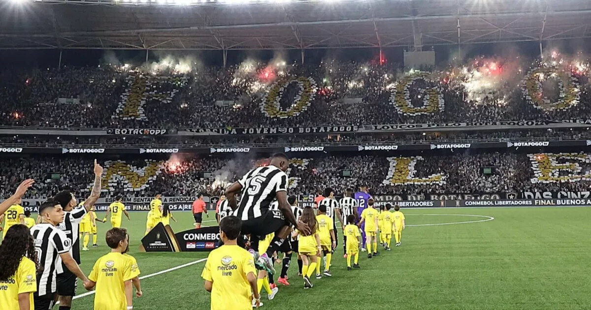 Botafogo e Ambev: Uma Dupla de Sucesso que Vai Além do Futebol!