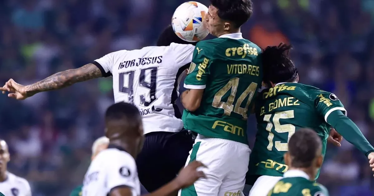 Botafogo Histórico! Vitória épica sobre o Palmeiras e um pé no título