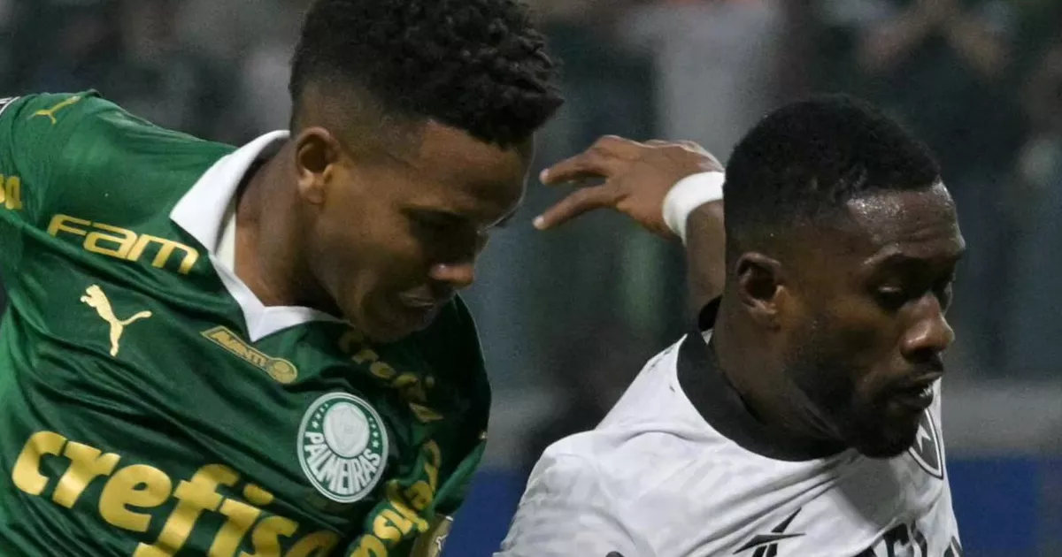 Botafogo x Palmeiras: A Final Antecipada que Pode Decidir o Brasileirão