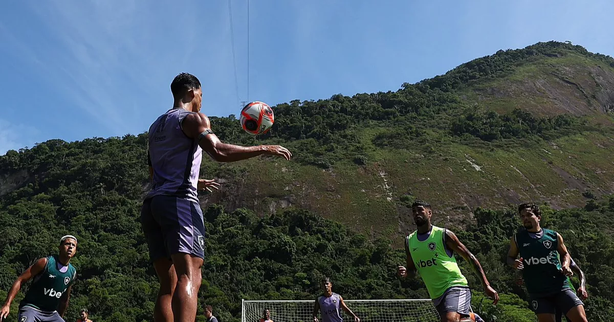 Botafogo Deve Ser Notificado Sobre CT por Dívidas de Proprietário do Espaço Lonier