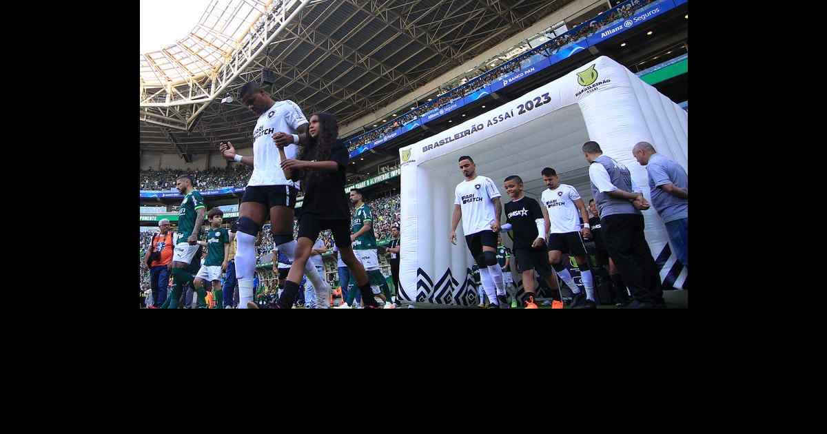 Comentaristas Destacam Vitória Do Botafogo Diante Do Palmeiras