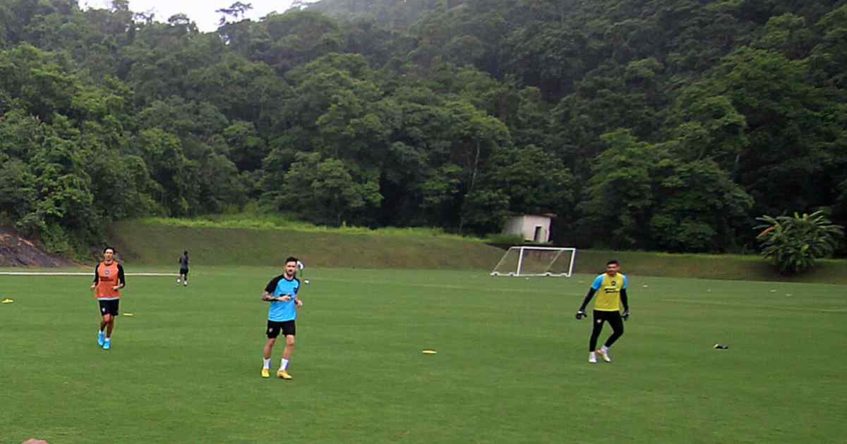 Botafogo anuncia que iniciará 2025 com garotada; Veja planejamento