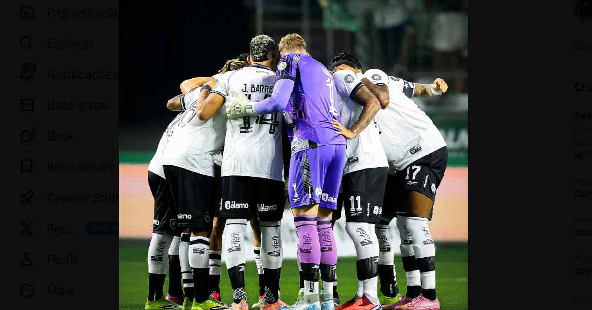 Botafogo luta com um a menos, mas perde para o Palmeiras e se afunda no Z-4